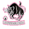 https://img.ecaka.com/img/football/team/97c3ef30cac48cadff97605e387feefa.png